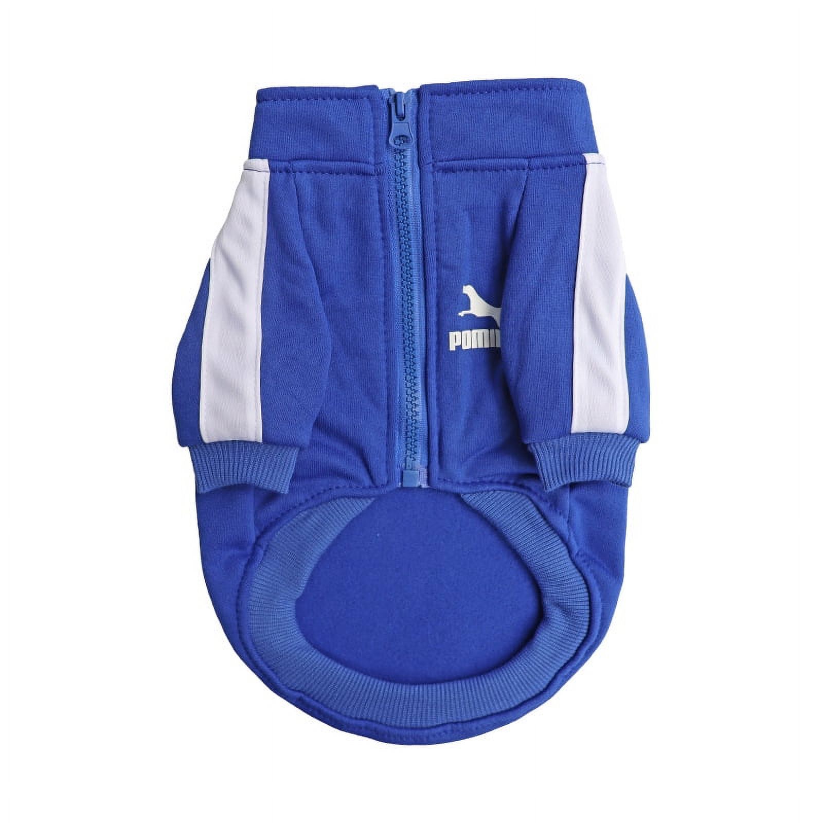 Fashion brand autumn and winter fleecelined sportswear pet clothes