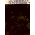 thumbnail image 1 of Fashionable Asheville (Paperback) by David Coleman Bailey, 1 of 1
