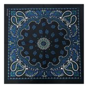 Fashionable Cashew Pattern Headwrap Cool Hiphop Bandana Headwear Breathable for Men and Women Leisure Sport Activity