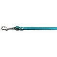 thumbnail image 1 of Fashionable Leather Leash Metallic Turquoise 3/4'' Wide, 1 of 2