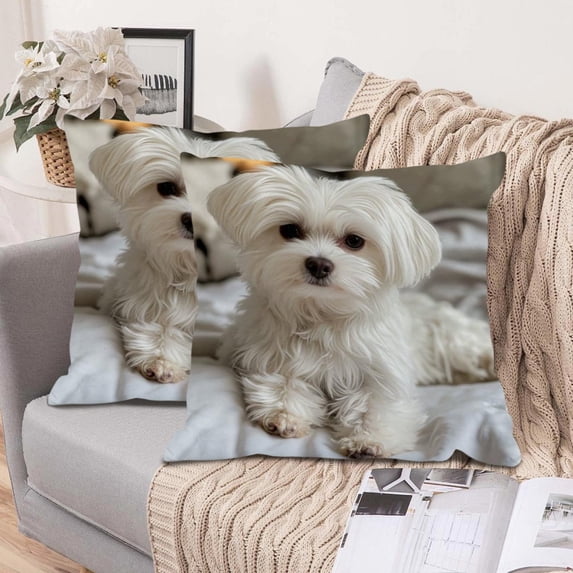 Fasiaou 18x18 Inch Cute Animals Print Flocked Pillow Cover, Soft Durable and Pilling Resistant Fabric, Decorative Cushion Case for Sofa Bedroom,G