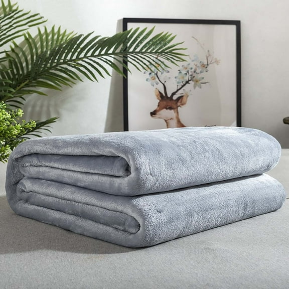 Fasiaou Comfortable Flannel Throw Blanket,Single Size Full Body Warming Premium Fleece Bedding Quilt,Reversible Microfiber Blanket for All Season(Gray,27x40inch)