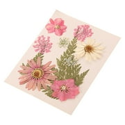 Fasiaou Dried And Embossed Flowers For Resin Kit Candles And Crafts/house/A Gift