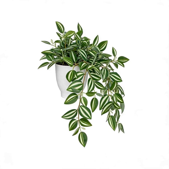 Fasiaou Mini Potted Artificial Plant Small Faux Plant Indoor Outdoor for Home Decor,Eucalyptus Greenery Plastic Fake Green Grass Plants for Office Bathroom Shelf Farmhouse Coffee Table Decor,A