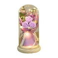 thumbnail image 1 of Fasiaou Mothers Day Mom Gifts: LED Galaxy Glass Flower Forever Rose in Glass Dome, Light Up Preserved Roses for Women, Mothers Day Birthday Gifts and Valentines Day Presents for Her,Purple, 1 of 6