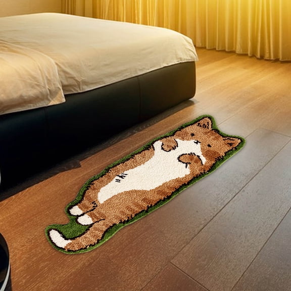 Fasiaou Rug for Bedroom, Fluffy Runner Rugs Soft Rug Sofa Couch Seat Cushion, Plush Area Rug Shag Rugs Floor Carpets for Nursery Bedside, Cute Shaggy Fuzzy Home Decor ,B