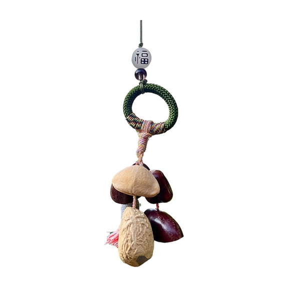 Fasiaou Sonic Energy Seed Shell Shaker Percussion Instrument — Nature Sounds for Meditation, ASMR, Sound Therapy, Yoga,C