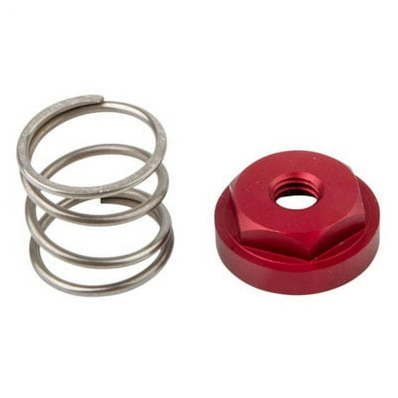Fasst Rear Brake Return Spring Kit Red 8mm for Suzuki RM250 2001-2008