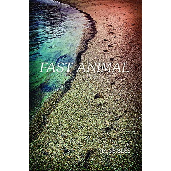 Pre-Owned Fast Animal (Paperback) 0983294429 9780983294429