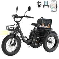 Skeri Electric Tricycle for Adults, 750W(Peak 1350W) Motor, 48V13Ah Battery, 20"x4" Folding Fat Tire 3-Wheel Electric Trike, 20MPH, Hydraulic Brakes, Rear Basket & Differential, UL2849