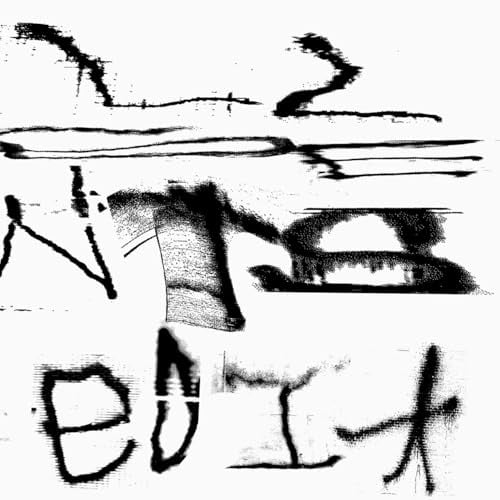 Still House Plants Fast Edit (Vinyl Record) 12" Album (Clear vinyl)