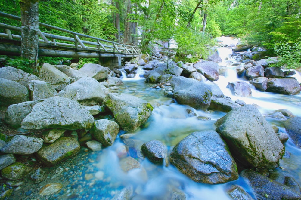 Fast Flowing River Canvas Art - Don Hammond Design Pics (17 x 11)