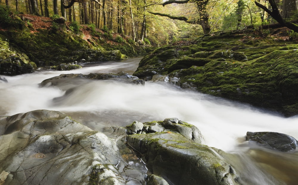 Fast Flowing Water Over Mossy Rocks In Tollymore Forest Park Bryansford County Down Northern Ireland Canvas Art - Peter McCabe Design Pics (19 x 12)