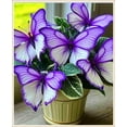 thumbnail image 1 of Fast Growing, Hostas Planting-(Non-Artificial)- Garden Stakes-Bloom Year After Year, Home Decoration-Ornamental-PremiumBeautiful Gift Garden-, 1 of 7