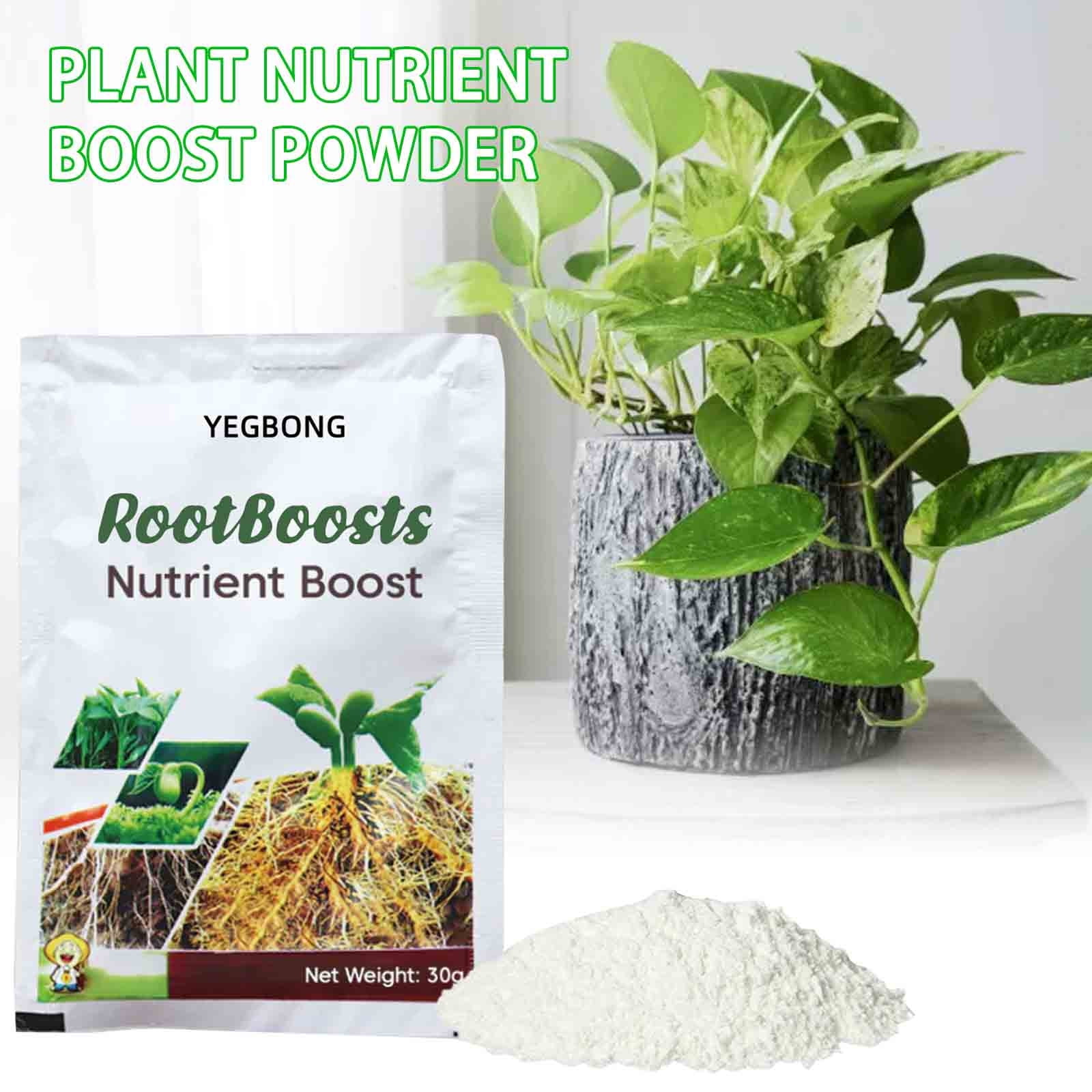Fast Rooting Liquid Strong Powder Plant Universal Nutrient Solution Succulent Green Radish