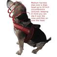 thumbnail image 1 of Fast Slip Over LED Red Medium Dog Harness with LED Chest Light and Reflective Seams, No Choke Design, 1 of 13
