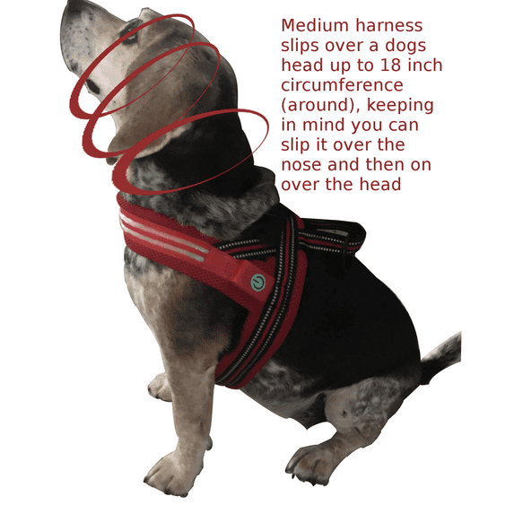 Fast Slip Over LED Red Medium Dog Harness with LED Chest Light and Reflective Seams, No Choke Design