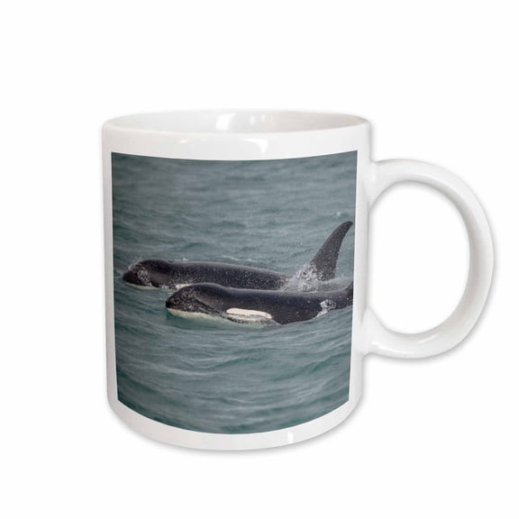 3drose, Fast Swimming Orcas Make Their Way Along Icy Strait., 11oz Mug