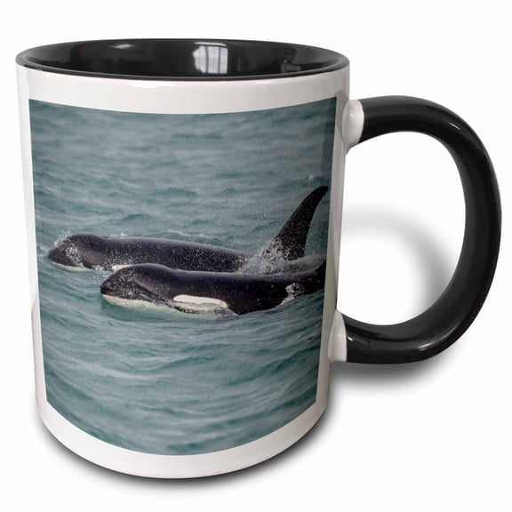 3drose, Fast Swimming Orcas Make Their Way Along Icy Strait., 11oz Two-tone Black Mug