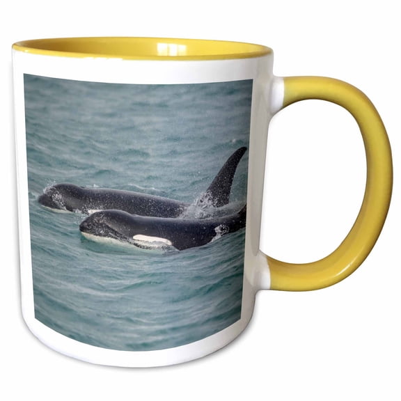 3drose, Fast Swimming Orcas Make Their Way Along Icy Strait., 11oz Two-tone Yellow Mug