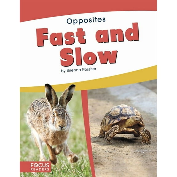 Fast and Slow (Paperback)