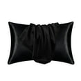 thumbnail image 1 of FastXmas 2 Pcs Silk Pillow Cases, 20x30 inch Soild Color Satin Pillow Cover with Envelope Closure, Soft Silky Breathable Wrinkle-Free Cooling Pillowcase Beauty Sleep Bed Pillow Cover for Hair and Skin, 1 of 8