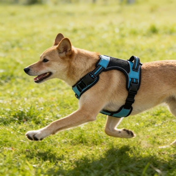 FastXmas Dog Chest Strap for Medium Large Breeds, Reflective High Visibility Dog Safety Vest with Adjustable Dog Harness for Keep Safe from Hunting, Training and Cars Accidents(35*26 Inch)