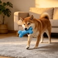 thumbnail image 1 of FastXmas Toothbrush Dog Chew Toy, Stick Bone for Dog Teeth Cleaning, Tooth Brushing, Teething Chew Toys, Dental Oral Care for Small, Medium and Large Dogs(Blue), 1 of 6