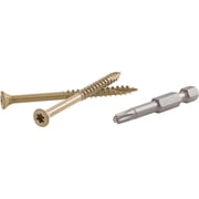 FastenMaster GuardDog 3 In. Deck Screw (75-Count) FMGD003-75