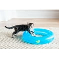 thumbnail image 1 of Fat Cat Crazy Circle Cat Toy For Solo or Interactive Play, Large 16.3" x 3.1", Blue, 1 of 10