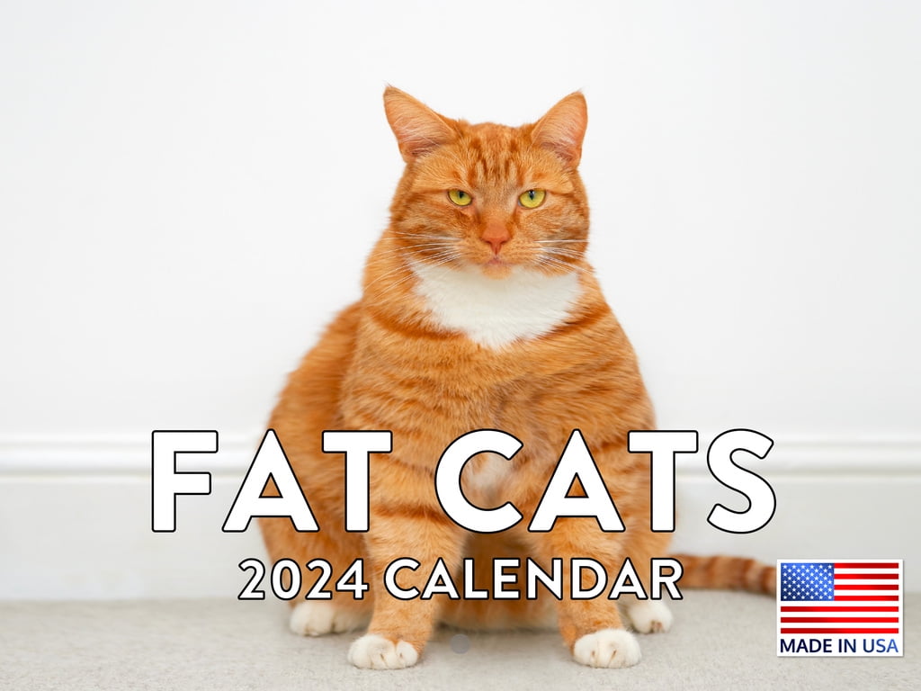 Fat Cats 2024 Wall Calendar Walmart Com   Fat Cats 2024 Wall Calendar 151bbb44 3578 4160 82ea 7973c1ec272c.81f618ee1e9a97817ccdb85b1e53ac34 