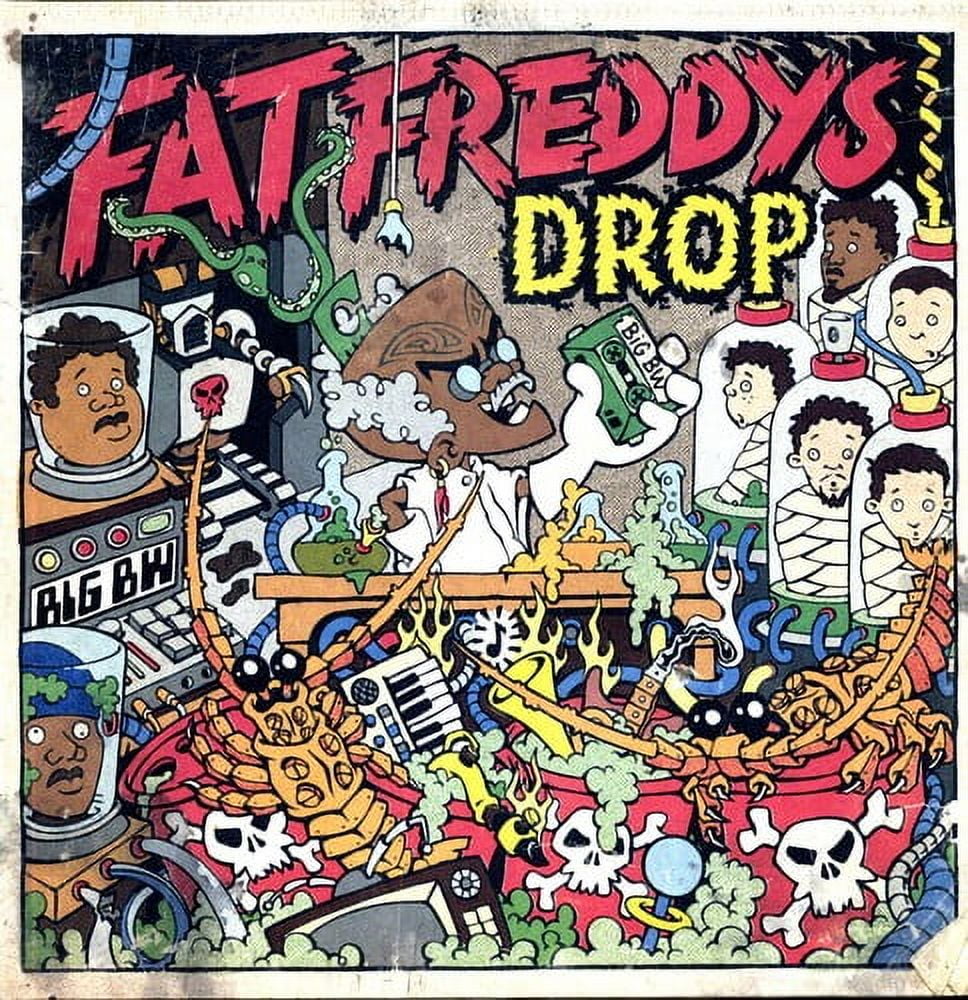 Fat Freddy's Drop - Dr. Boondigga and The Big Bw - Music & Performance - Vinyl