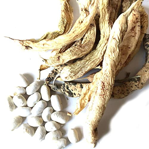 Fat Man Beans - 100 beans (40 grams)