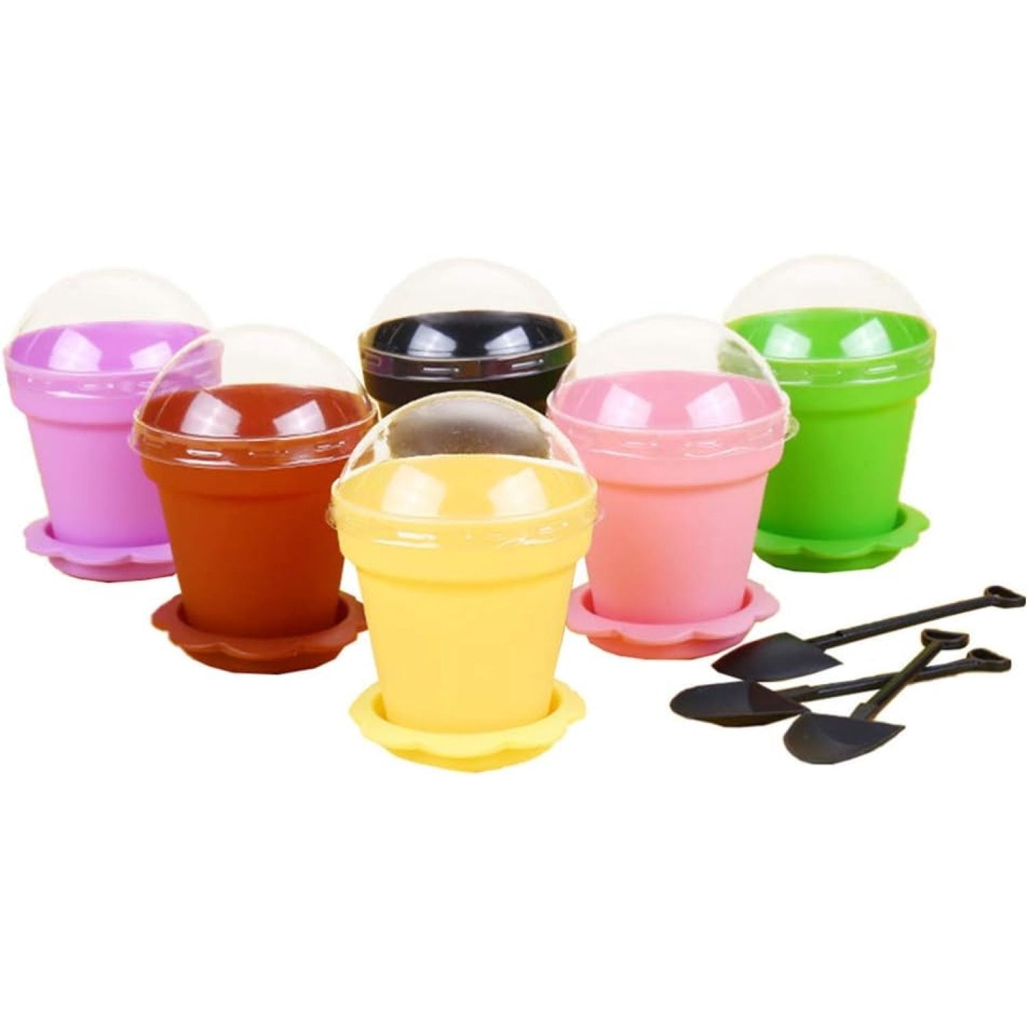 Fat Plants San Diego Barrel Cactus in a Tin Can (4 inch)