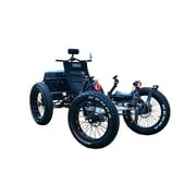 Fat Tire Quad ATV Electric Cycle Bicycle Bike Scooter