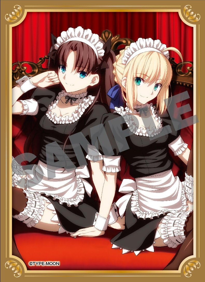 Fate/Stay Night UBW Card Sleeves - Servants Character Sleeves Collection HG Vol.778