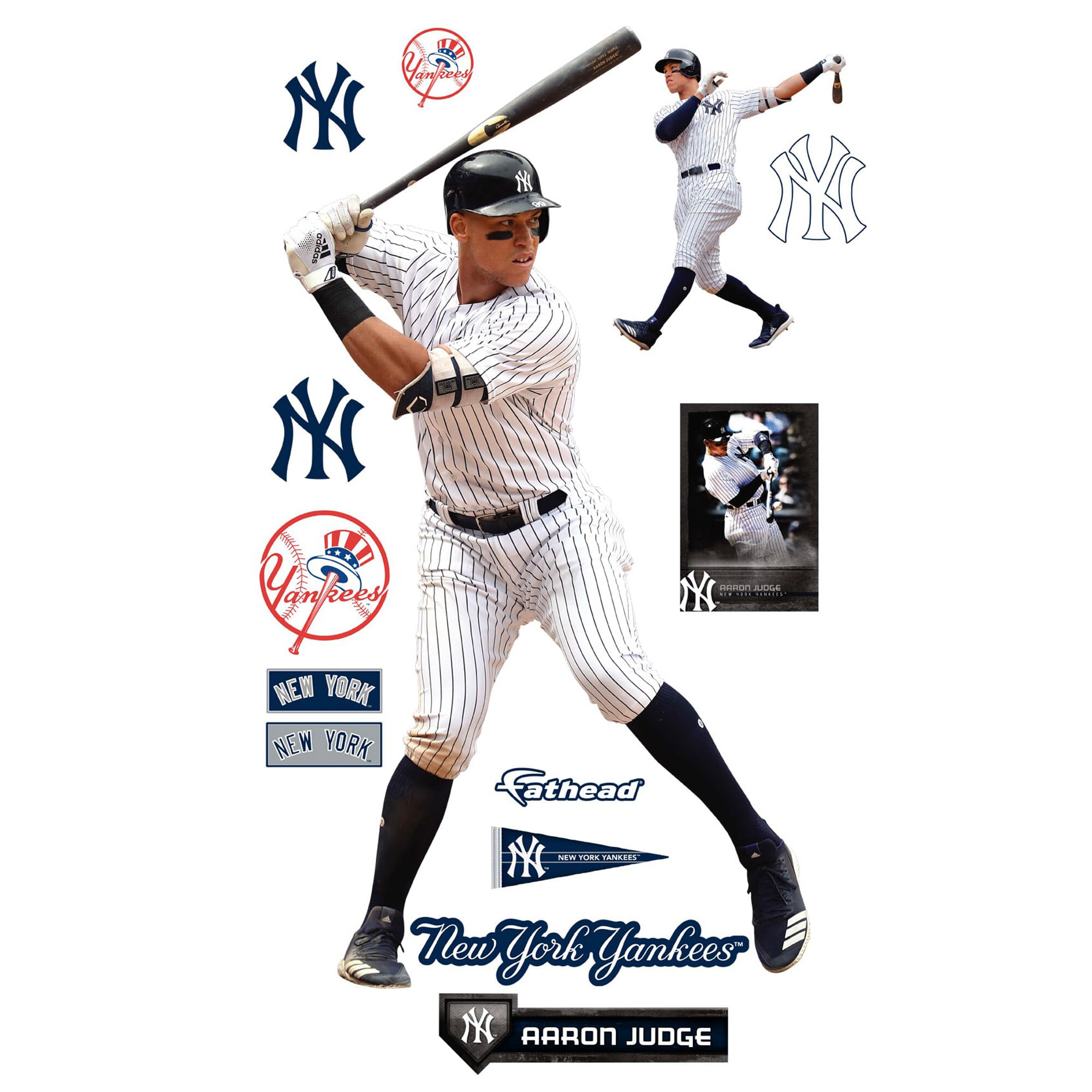 Aaron Judge New York Yankees Autographed Baseball Shadow Box
