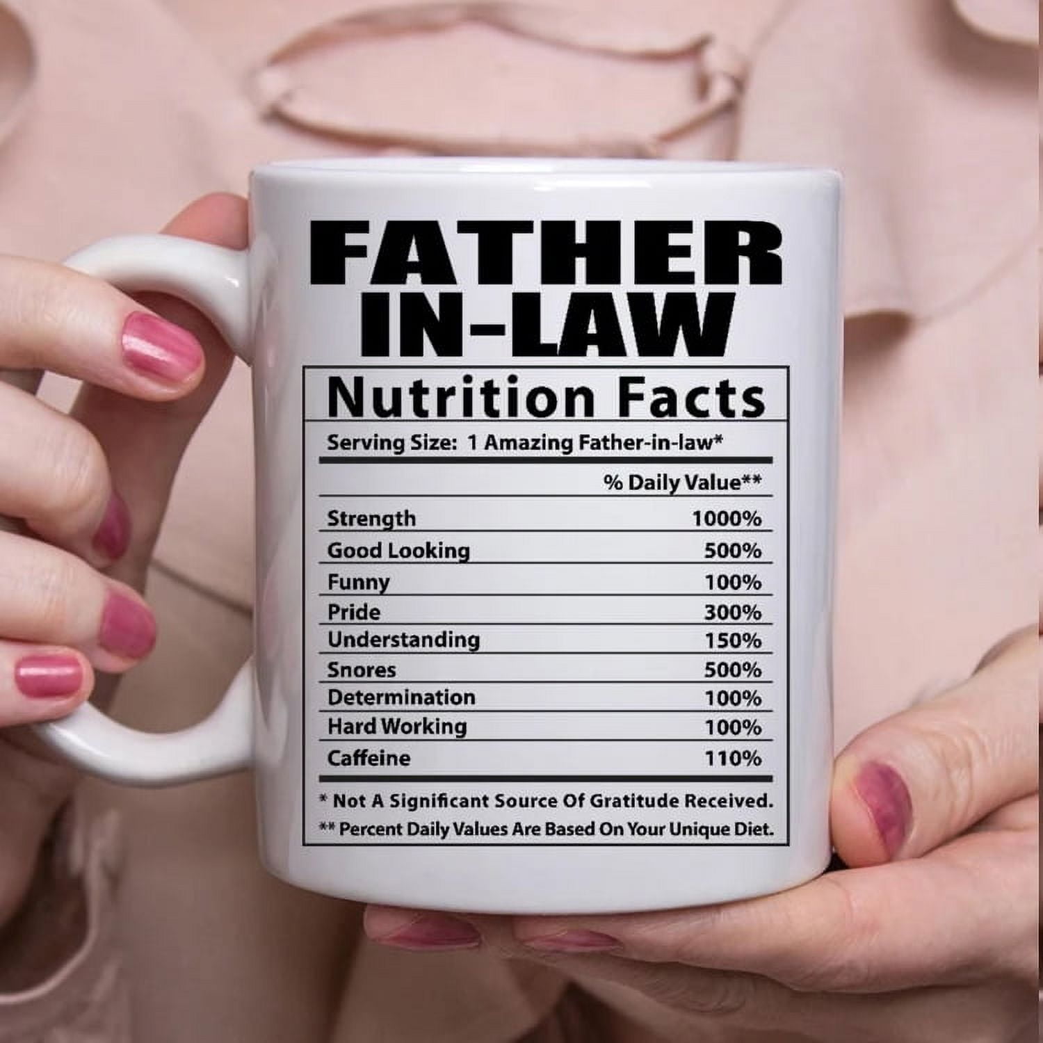 Father in Law Nutrition Fact Mug, Funny Father In Law Gifts