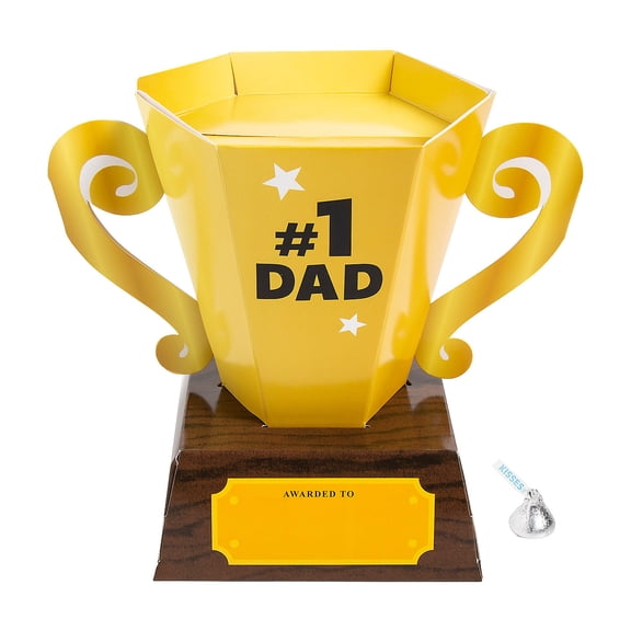 Fathers Day 3D Trophy Gift Boxes 12 Pieces