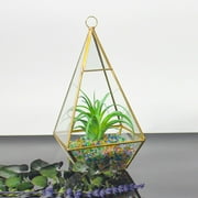 Father's Day Clearance - Geometric Fleshy Glass Flower House Crafts Greenhouse DIY Flower Decoration