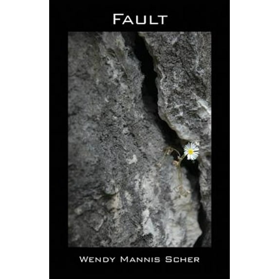 Fault (Paperback)