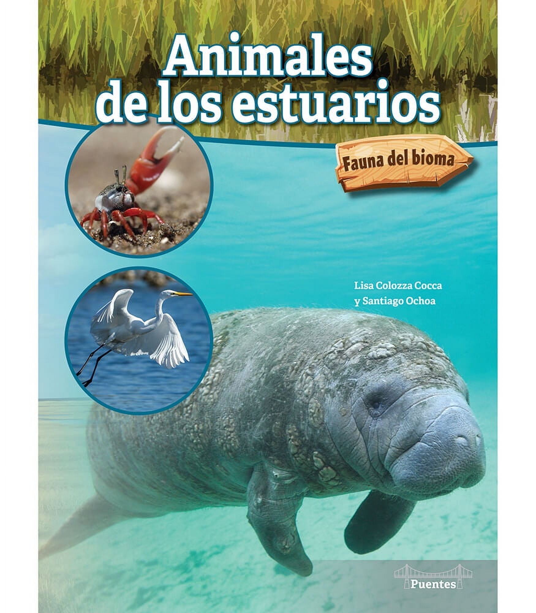 Fauna del Bioma Animales de Los Estuarios: Estuary Animals, (Paperback)