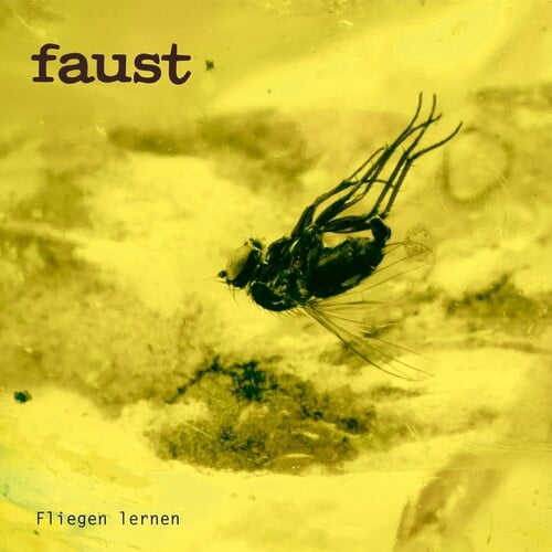 Faust - Fliegen Lernen - Music & Performance - Vinyl