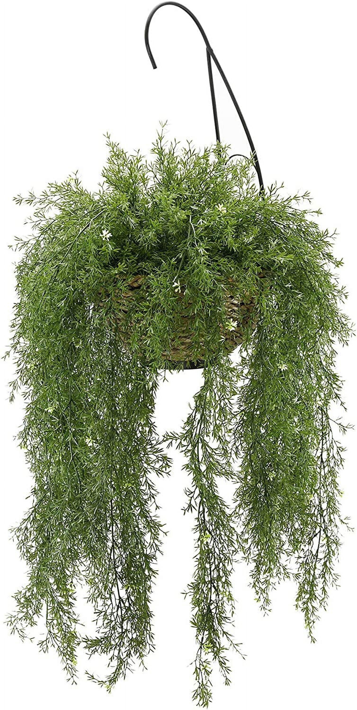 Faux Asparagus Fern Hanging Basket (Reed)