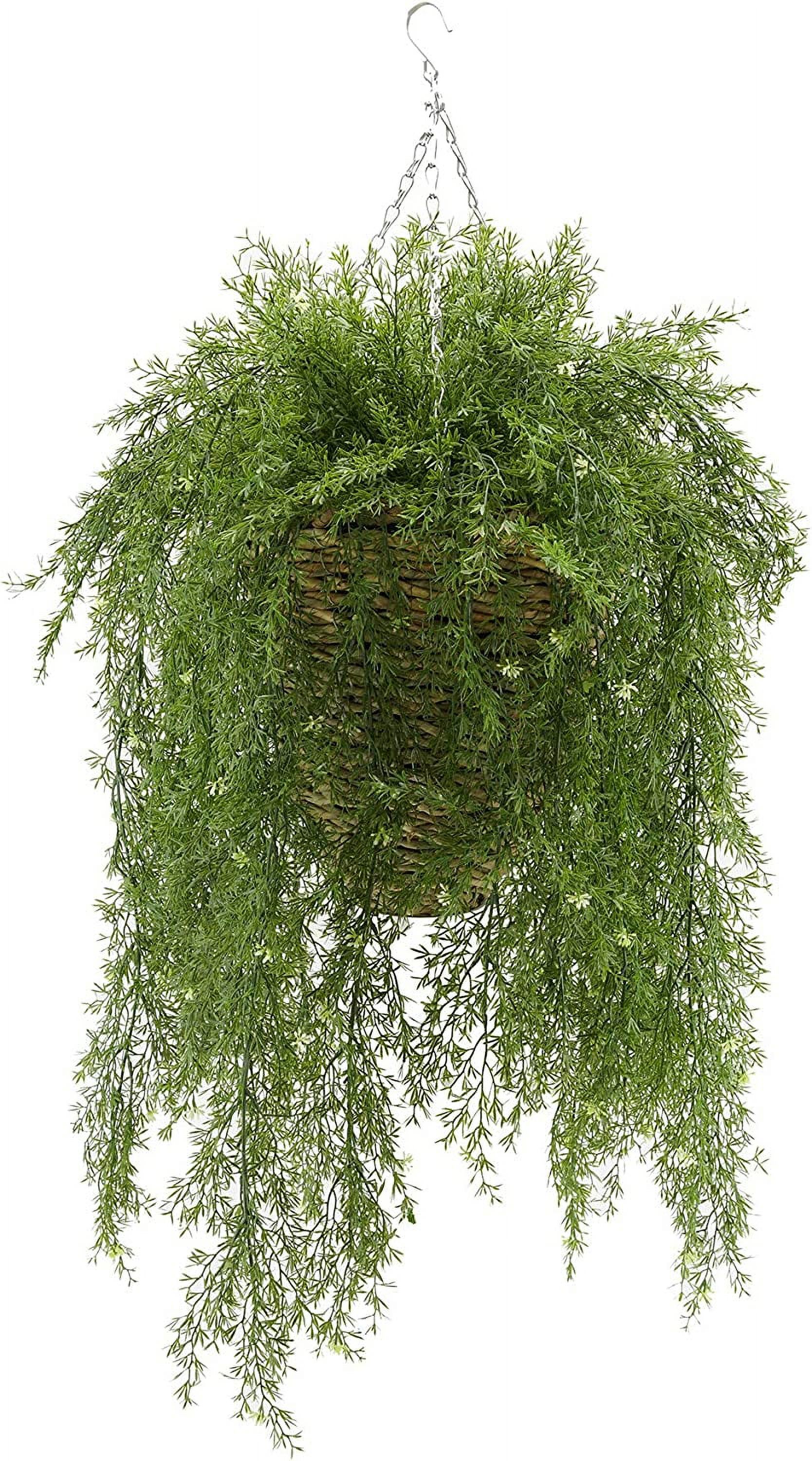 Faux Asparagus Fern in Reed Hanging Basket (Cone)
