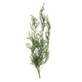 thumbnail image 1 of Faux Baby Reindeer Grass Stem, Dark Green-Color:Green,Style:Botanical, 1 of 1