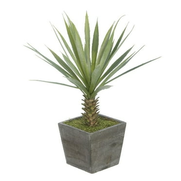 Faux Baby Yucca in Washed Wood Cube Planter Gray