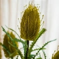 thumbnail image 1 of Faux Banksia Integrifolia Faux Flower 28" Tall Silk, 1 of 9