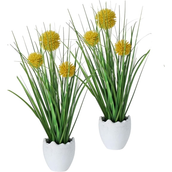 Yellow Button Flower Pom-poms in Egg Shell Pot, Set of 2, Pop Yellow, Spring Green and Shell White, 6.0 D x 10.25 H Inches, Artificial Craspedia