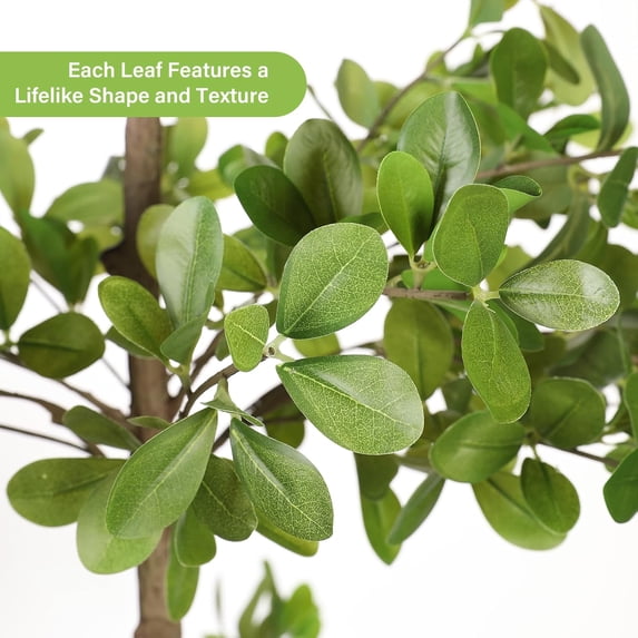 Faux Black Olive Tree 7ft – Artificial Shady Lady Tree with Realistic Leaves & Natural Branches, 7 Feet Tall Fake Olive Tree for Indoor Home & Office Decor
